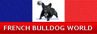 French Bulldog Board